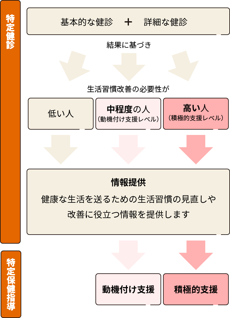 図：特定健診と特定保険指導について説明する図。特定健診では、基本的な健診と詳細な健診を行い、その結果に基づき、生活習慣改善の必要性が低い人・中程度（動機付け支援レベル）の人・高い（積極的支援レベル）人それぞれに合わせた、健康な生活を送るための生活習慣の見直しや改善に役立つ情報を提供します。特定保健指導は、生活習慣改善の必要性が中程度の人には動機付け支援を行い、生活習慣改善の必要性が高い人には積極的支援を行います。