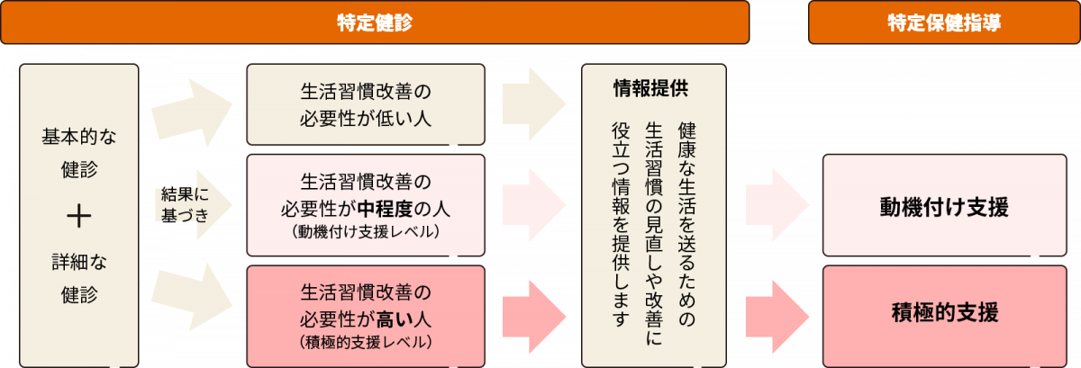 図：特定健診と特定保険指導について説明する図。特定健診では、基本的な健診と詳細な健診を行い、その結果に基づき、生活習慣改善の必要性が低い人・中程度（動機付け支援レベル）の人・高い（積極的支援レベル）人それぞれに合わせた、健康な生活を送るための生活習慣の見直しや改善に役立つ情報を提供します。特定保健指導は、生活習慣改善の必要性が中程度の人には動機付け支援を行い、生活習慣改善の必要性が高い人には積極的支援を行います。